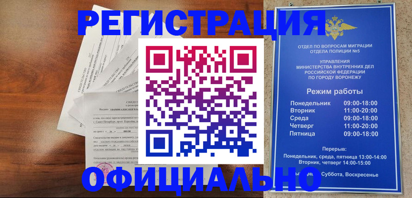 прописка поиск в Туле